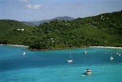Maho Bay Camps